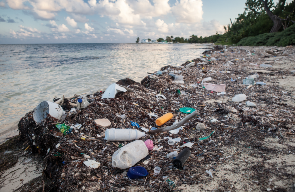 Discarded plastic washed up on a beach.